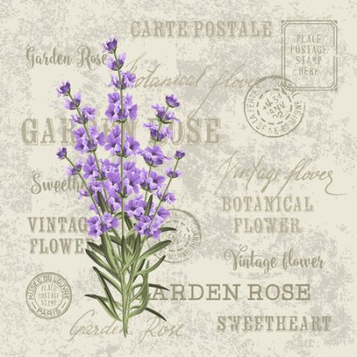 Tableau  Papeterie à la lavande