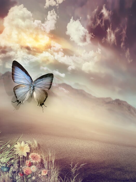 Tableau  Papillon dans le désert