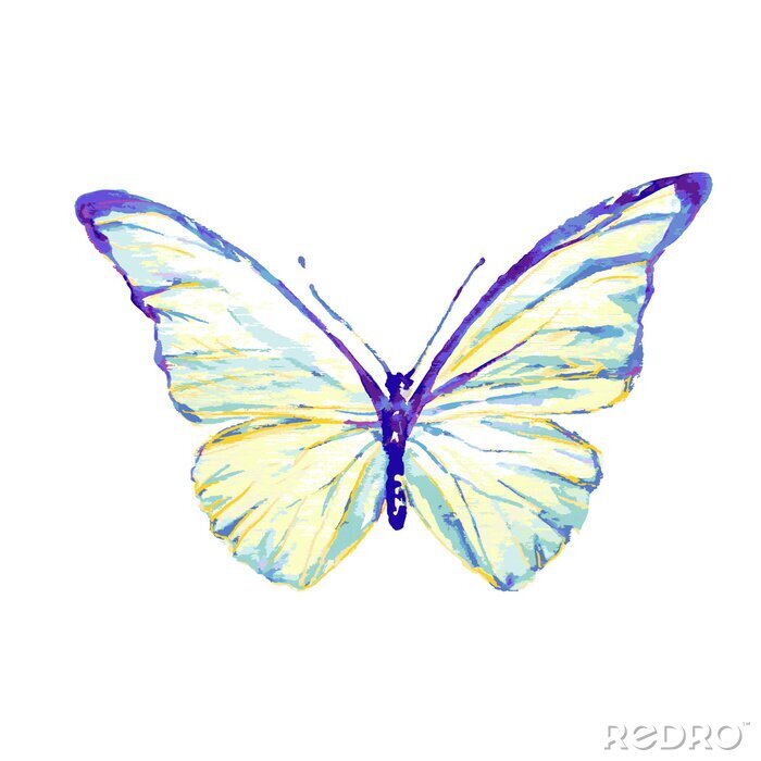 Tableau  Papillon fragile blanc