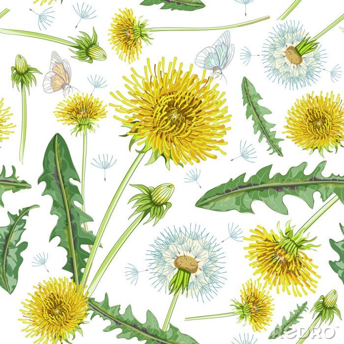 Tableau  Papillons parmi les pissenlits et les pissenlits