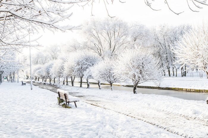 Tableau  parc d'hiver, sentier enneigé au-dessus de la rivière, de beaux arbres le long de la rivière