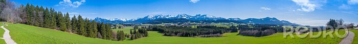 Tableau  Parcours de randonnée à travers l'Allgäu avec vue sur les Alpes - Panorama haute résolution