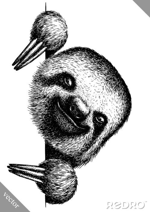 Tableau  Paresseux noir et blanc