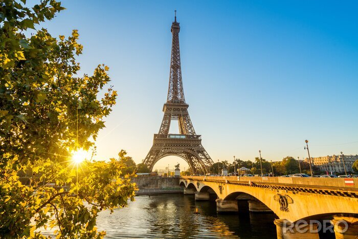 Tableau  Paris de la Loire au soleil