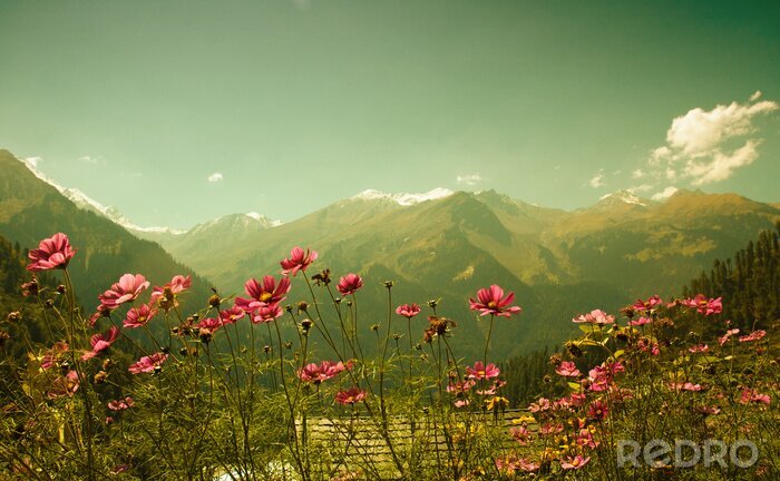 Tableau  Parvati vallée, Inde du Nord