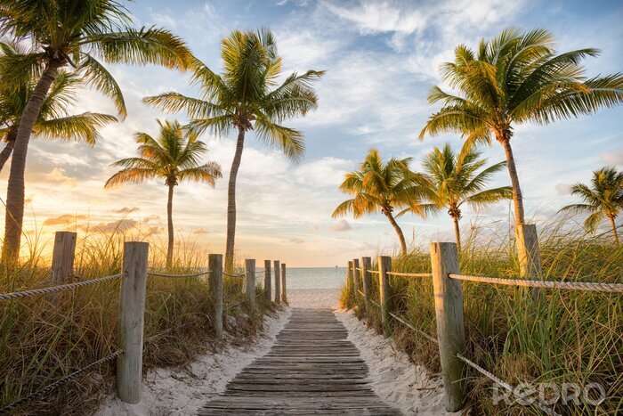 Tableau  Passerelle à la plage de Smathers au lever du soleil - Key West, Floride