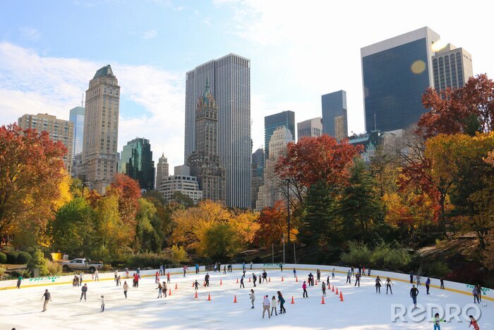 Tableau  Patinage sur glace dans Central Park, New York City