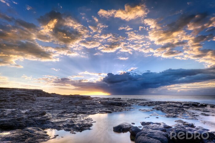 Tableau  Paysage avec une côte rocheuse