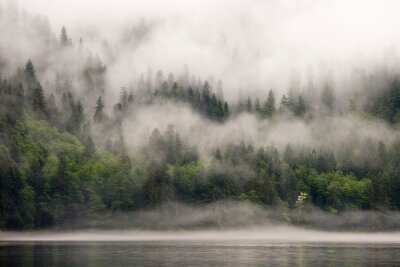Tableau  Paysage brumeux d’un lac entouré de forêt