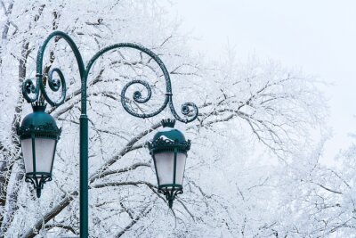 Tableau  Paysage d'hiver avec des arbres d'hiver givrés et des lampadaires