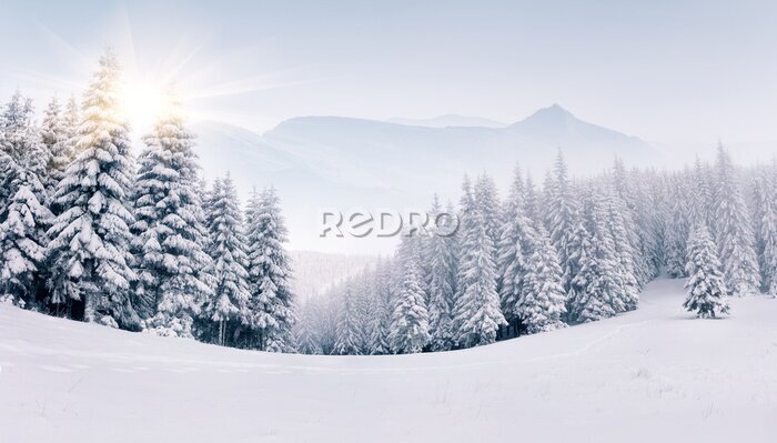 Tableau  Paysage d'hiver brumeux dans les montagnes