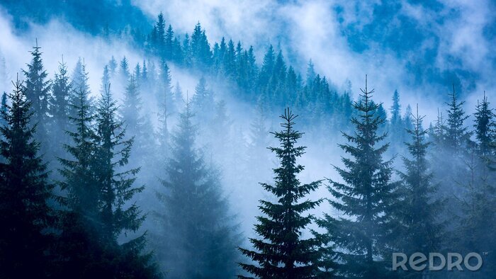Tableau  Paysage de forêt bleue