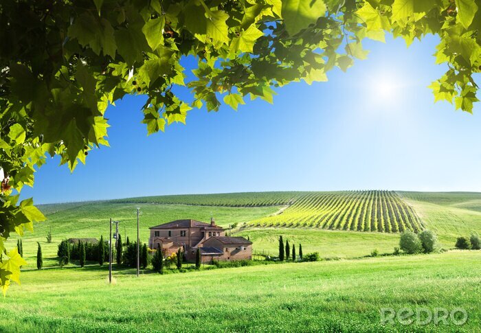 Tableau  Paysage de la Toscane avec la maison de ferme typique