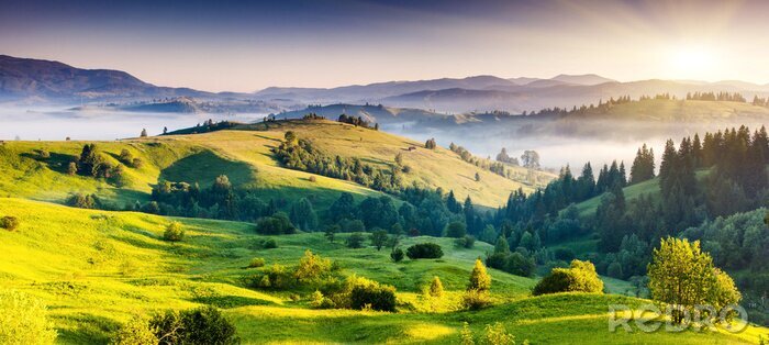 Tableau  Paysage de montagnes