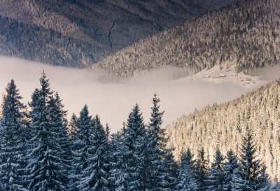 Tableau  Paysage de montagnes d'hiver. Vue, neige-couvert, conifère, Arbres, brume, lever soleil, vilage, distance