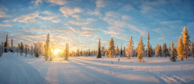 Paysage de neige au coucher du soleil, arbres gelés en hiver à Saariselka, Laponie, Finlande