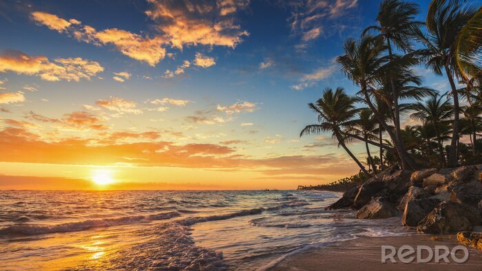 Tableau  Paysage de paradis tropical plage de l'île