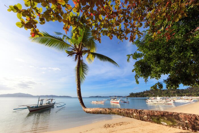 Tableau  Paysage ensoleillé avec une plage