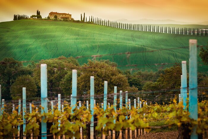 Tableau  Paysage idyllique de Toscane