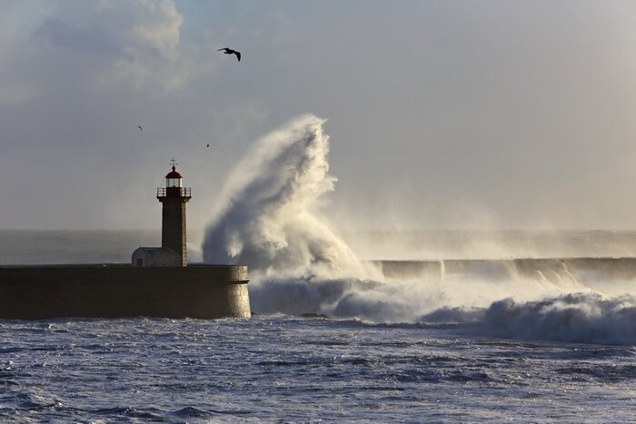 Tableau  Paysage marin avec un phare