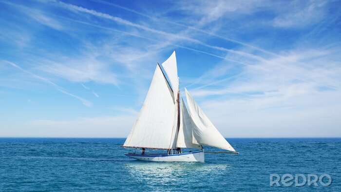 Tableau  Paysage marin avec un voilier le fond du ciel bleu.