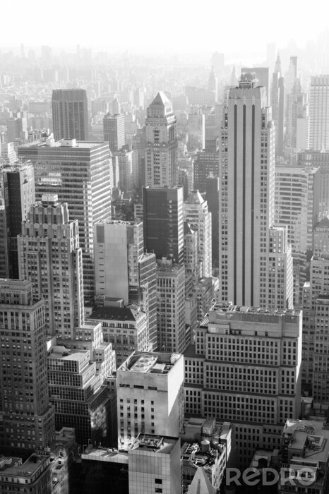 Tableau  Paysage new-yorkais noir et blanc