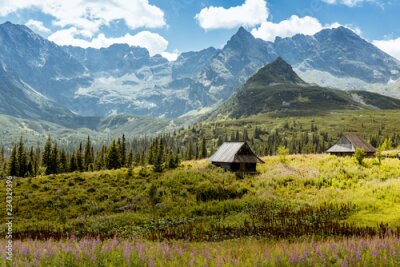 Tableau  Paysage pittoresque avec une clairière et des montagnes