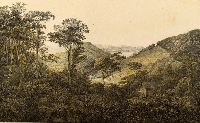 Tableau  Paysage sud-américain