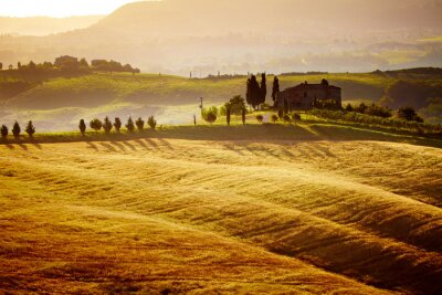 paysage typique de la Toscane, en Italie