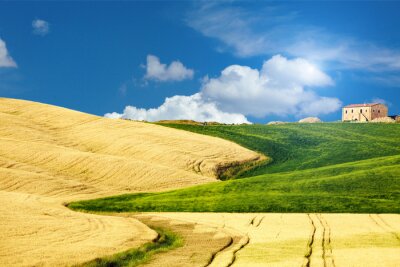 paysage typique de la Toscane, en Italie