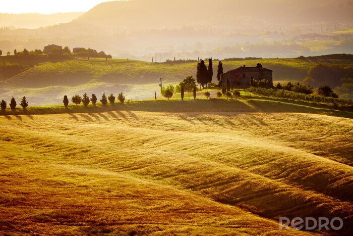 Tableau  paysage typique de la Toscane, en Italie