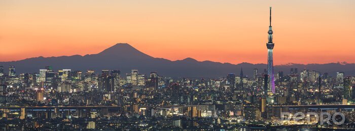 Tableau  Paysage urbain de Tokyo à l'aube