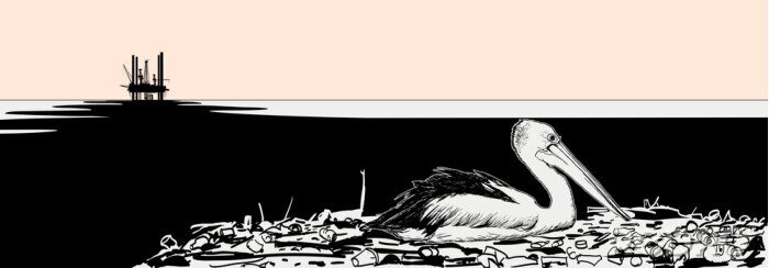 Tableau  Pélican graphique