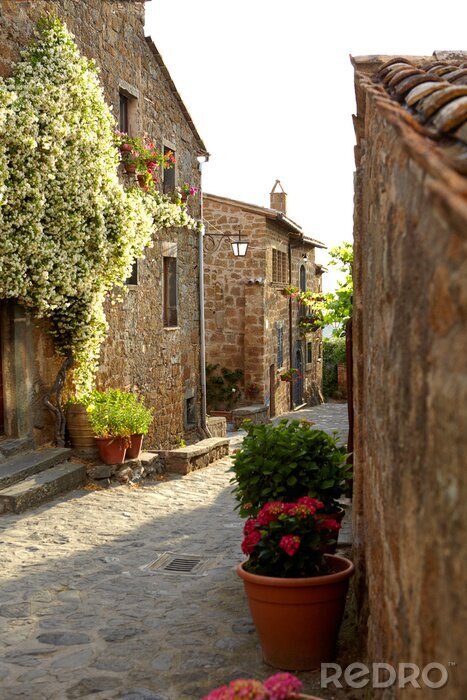 Tableau  Petite rue lumière du soir
