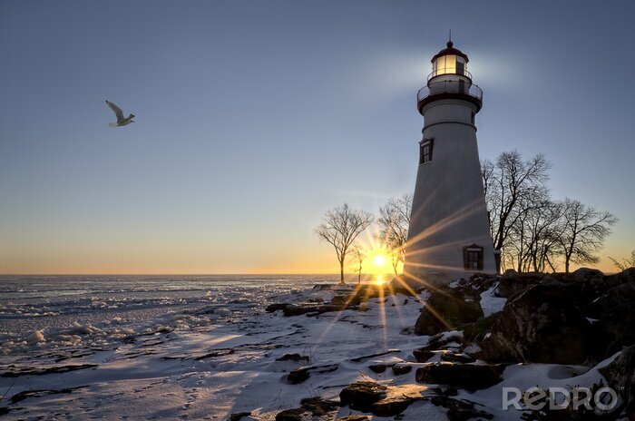 Tableau  Phare maritime soleil d'hiver