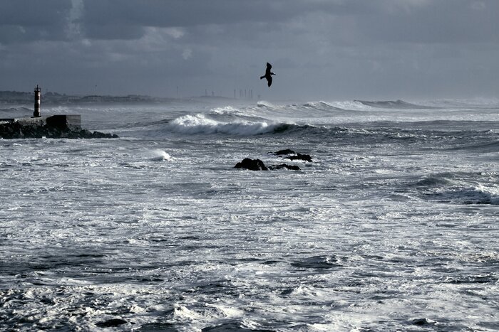 Tableau  Phare mer en hiver