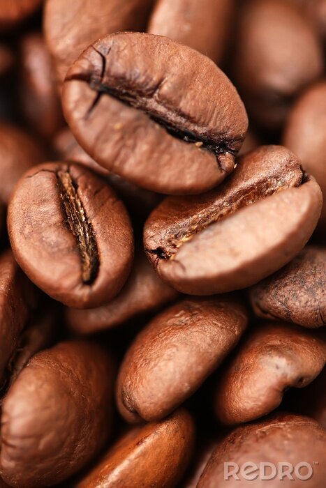 Tableau  Photo en gros plan de grains de café brun clair