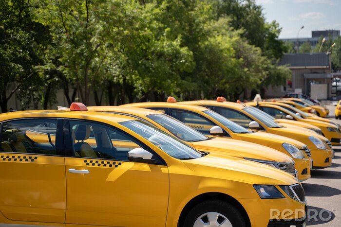 Tableau  Photo of several yellow taxi on street in summer