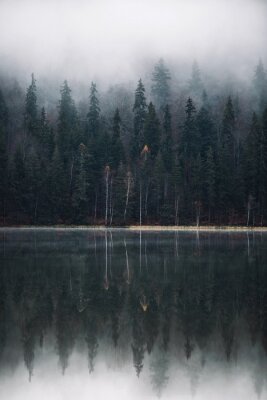 Photographie d'un lac brumeux