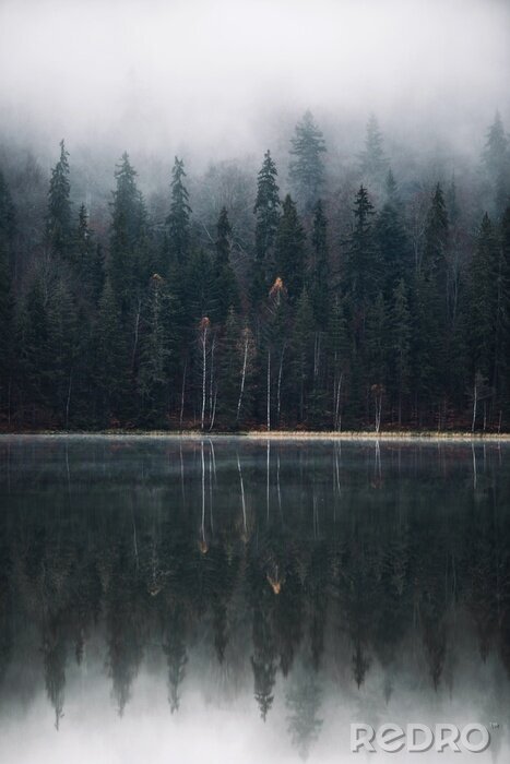 Tableau  Photographie d'un lac brumeux