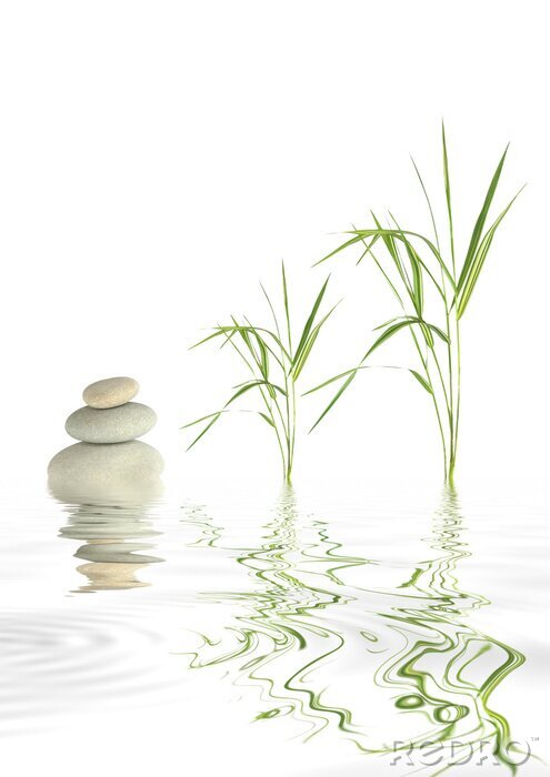 Tableau  Pierres zen et herbe de bambou à la surface de l'eau