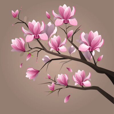 Tableau  Pink magnolia flowers