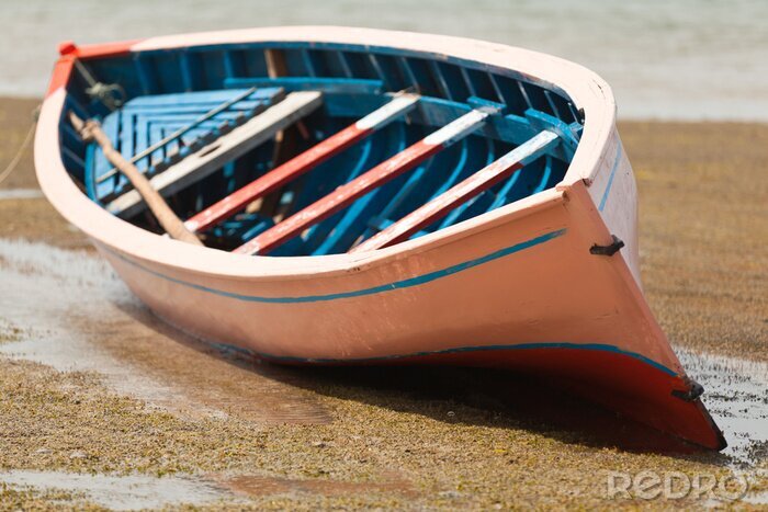 Tableau  Pirogue traditionnelle, barque de l'Anse Mourouk