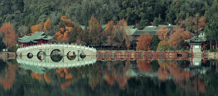 Tableau  Piscine de dragon noir