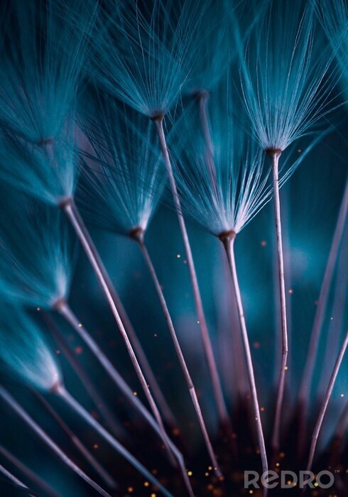 Tableau  pissenlit abstrait