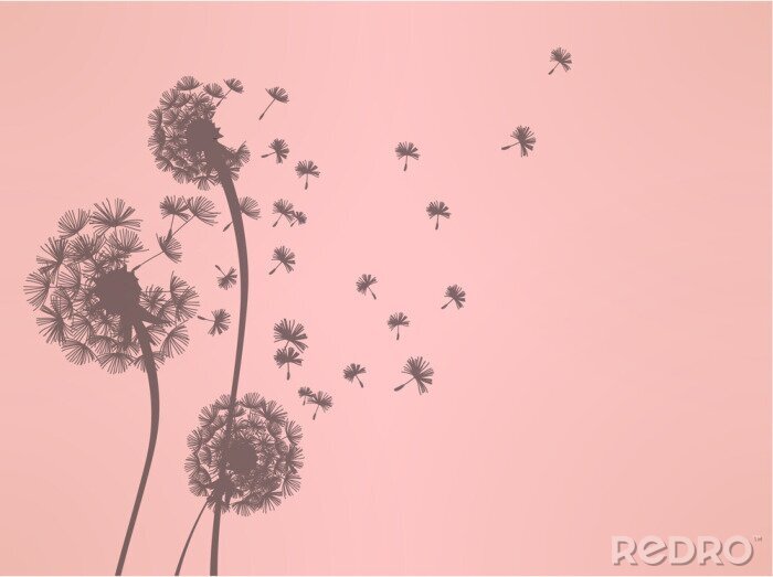 Tableau  Pissenlit et graines aux tonalités roses