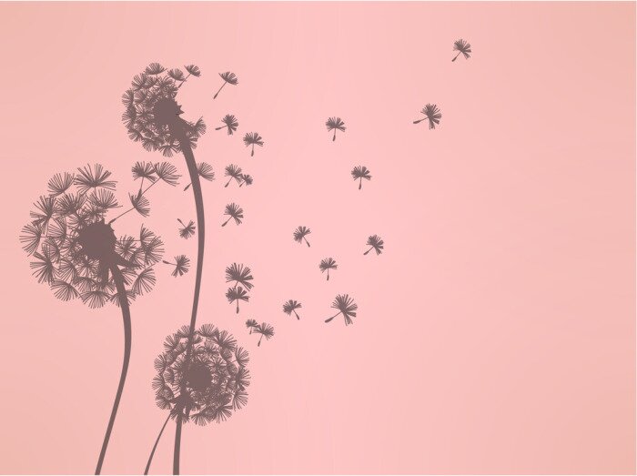 Tableau  Pissenlit et graines aux tonalités roses