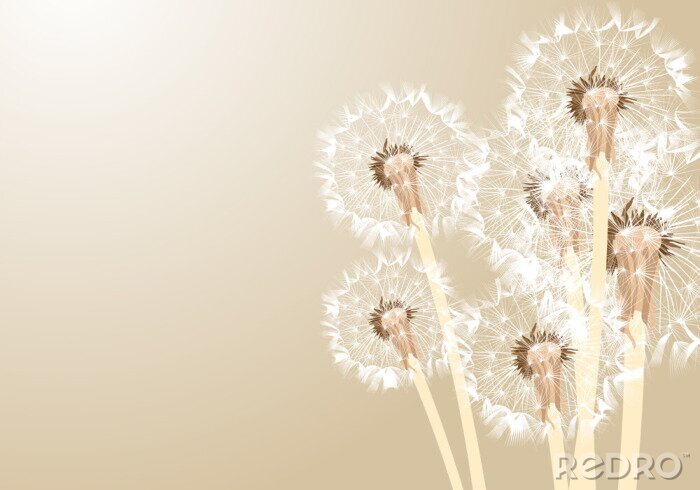 Tableau  Pissenlits aux couleurs beiges