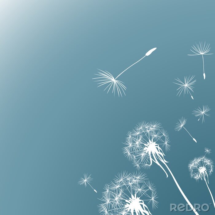 Tableau  Pissenlits graphiques blancs et graines