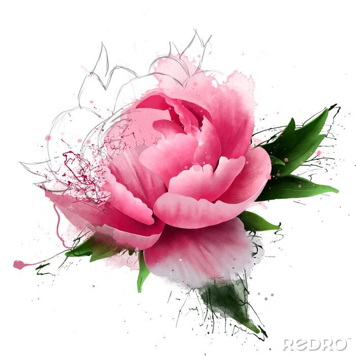 Tableau  Pivoine avec des éléments graphiques